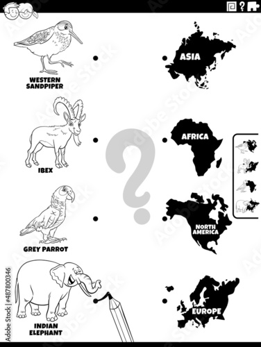 match animals and continents game coloring book page