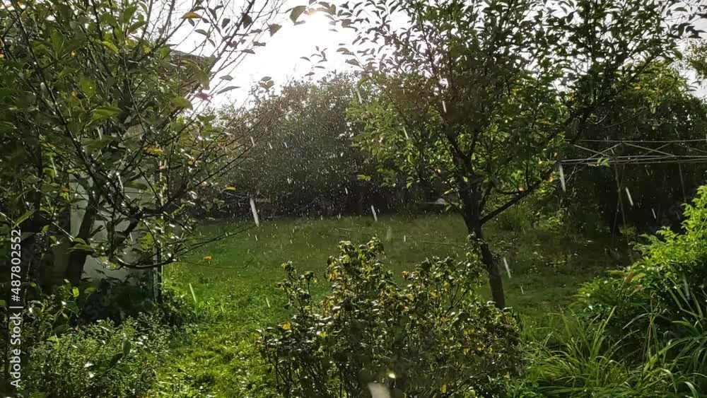 Heavy rain falls in sunny and windy weather in the garden