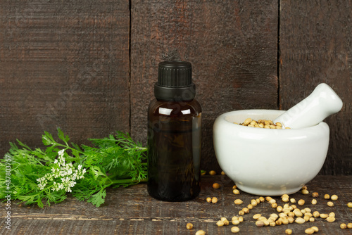 Coriander Essential Oil in bottle and coriander seeds on white mortar and pestle with branch and flower on rustic wooden background. photo