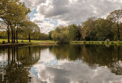  middleton park Forrest walk in spring