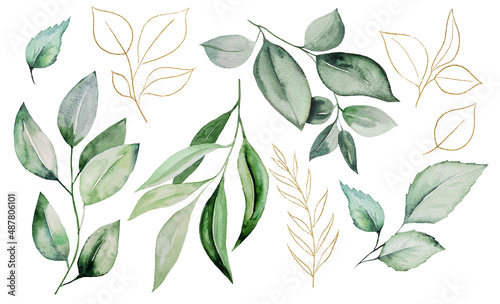 Green and Golden watercolor botanical leaves illustration