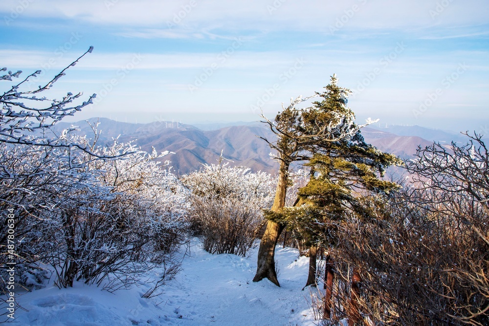 태백산 태백산