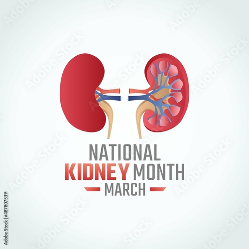 vector graphic of national kidney day good for national kidney day celebration. flat design. flyer design.flat illustration.