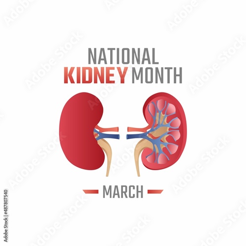 vector graphic of national kidney day good for national kidney day celebration. flat design. flyer design.flat illustration.
