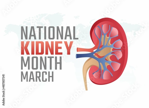 vector graphic of national kidney day good for national kidney day celebration. flat design. flyer design.flat illustration.