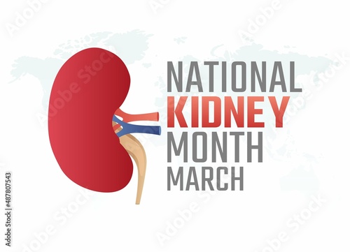 vector graphic of national kidney day good for national kidney day celebration. flat design. flyer design.flat illustration.