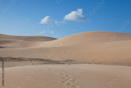 Dunes in Bolonia  Andalusia  Spain.
