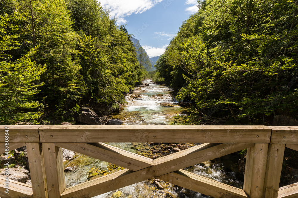 Pont en bois sur un torrent de montagne encadré par les arbres de l'étage montagnard. Puente de Briet sur le Rio Arazas, Parc National d'Ordesa