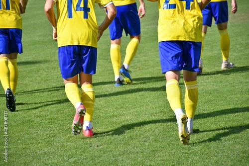 Fototapeta Naklejka Na Ścianę i Meble -  Soccer players warming up on the field