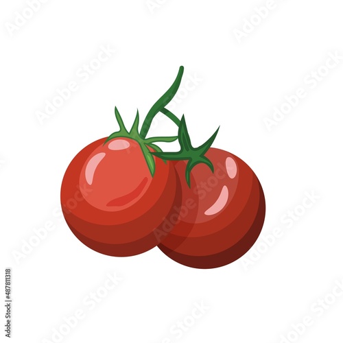 Vector illustration of tomatoes isolated on white