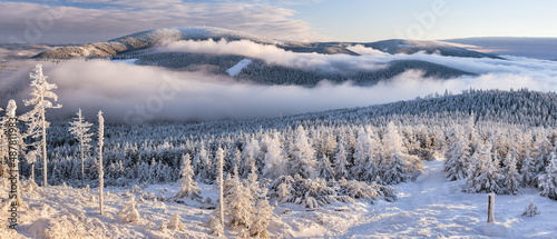 Fototapeta Naklejka Na Ścianę i Meble -  Through the valleys, the fog climbs the snow-capped mountain range of the Snieznik Massif just before sunset, the view from the top of Czarna Gora in winter.