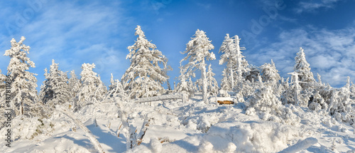 Fototapeta Naklejka Na Ścianę i Meble -  Winter landscape in the Polish mountains of the Sudetes, snow-covered forest on a hiking trail in the mountains, thick snow cover.