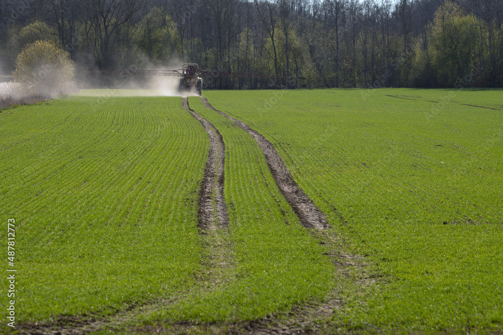 Sprayer on a green crop field in spring.