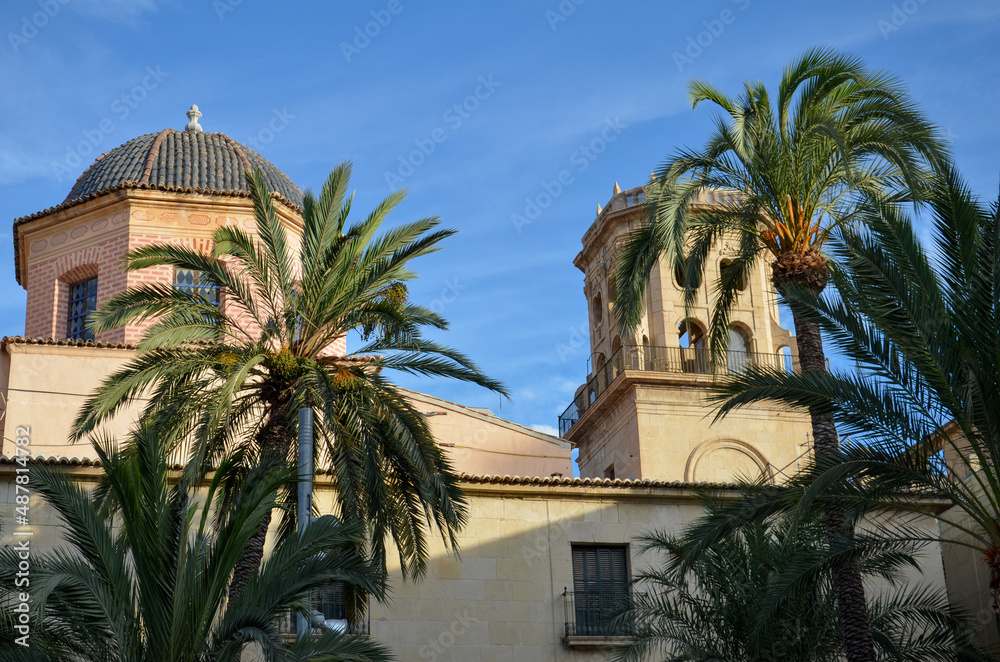 The dome and a tower of the Basilica of St Mary of Alicante behind some green palm trees under clear blue sky. Valencian Gothic style from the 14th and 16th centuries.