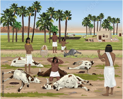 Canvas Print The Fifth Egyptian Plague - Livestock Diseased