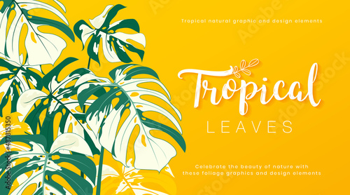 Tropical monstera leaf on yellow background. Exotic botanical vector creative design. Nature tropical green leaves graphic element. Suit for poster, banner, cosmetics, spa, perfume.