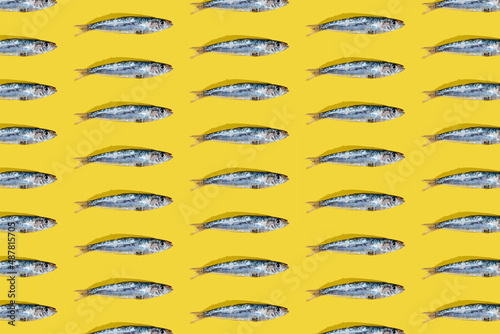 A mosaic of (Engraulis encrasicolus) Fresh silver-colored anchovies on a yellow background. Fish rich in vitamin B with an exquisite flavor. Anchoas photo