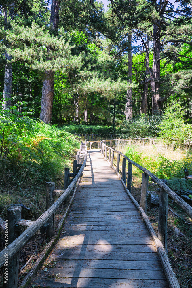 The Sila National Park