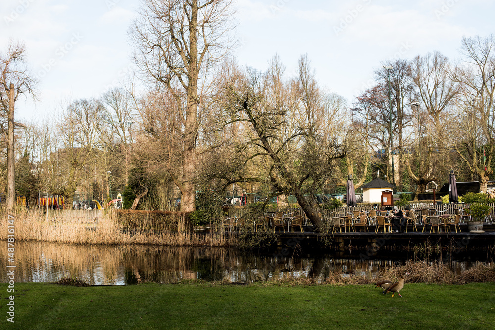 reflection in the pond in Vondel park 