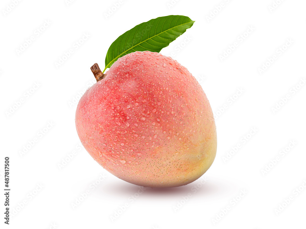 Delicious ripe mango with green leaf isolated on white background with Clipping Path.
