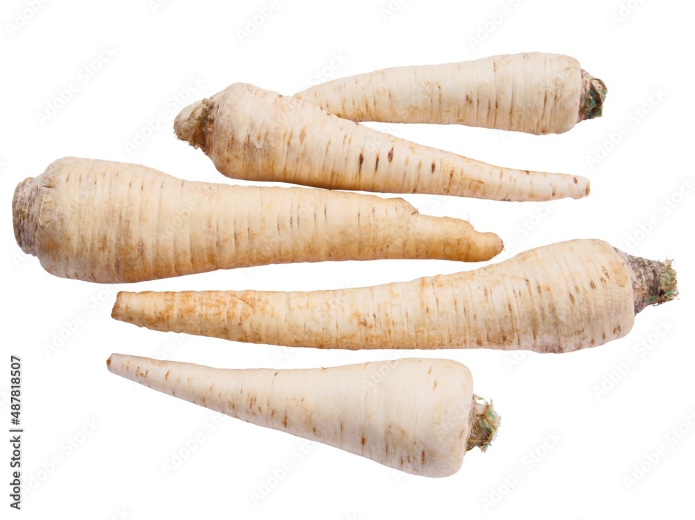 parsley roots isolated on white background parsley roots isolated on white background