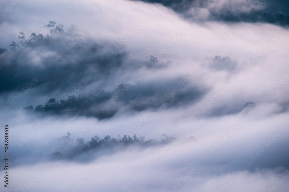 Sea of fog flowing through mountain peak, Foggy morning, Misty landscape view