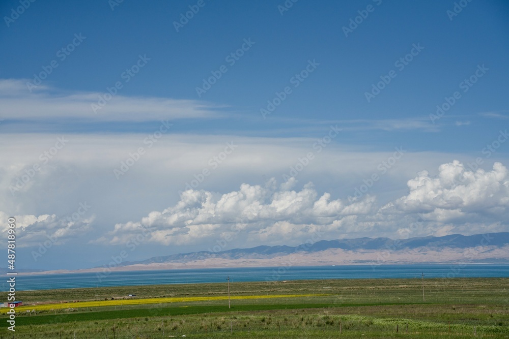 On the grassland by Qinghai Lake, there are blue sky and white clouds in the sky On the grassland by Qinghai Lake, there are blue sky and white clouds in the sky