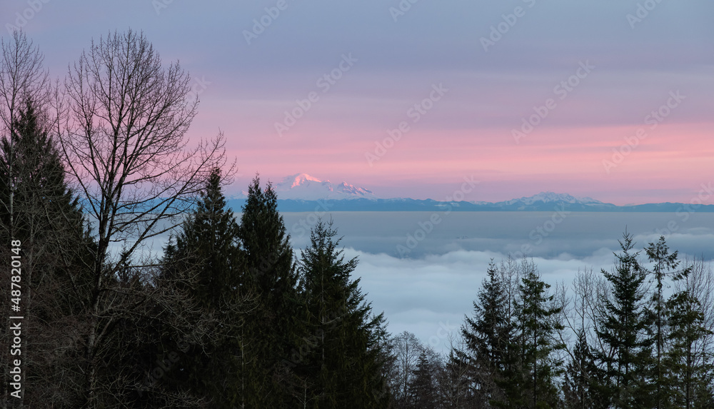 Canadian Nature View of Evergreen Trees on a mountain above the clouds. Dramatic Winter Sunset. Taken at Cypress Lookout, Vancouver, British Columbia, Canada. Background Canadian Nature View of Evergreen Trees on a mountain above the clouds. Dramatic Winter Sunset. Taken at Cypress Lookout, Vancouver, British Columbia, Canada. Background