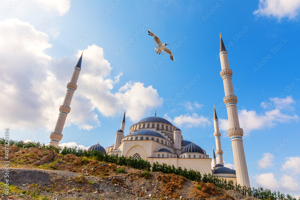 Istanbul Big Camlica Mosque and seagull, Turkey
