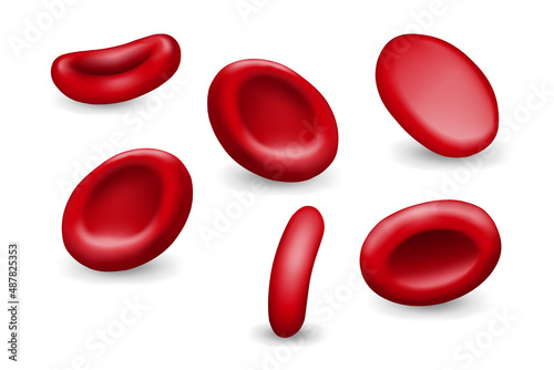  Set of red blood cells. Erythrocytes.