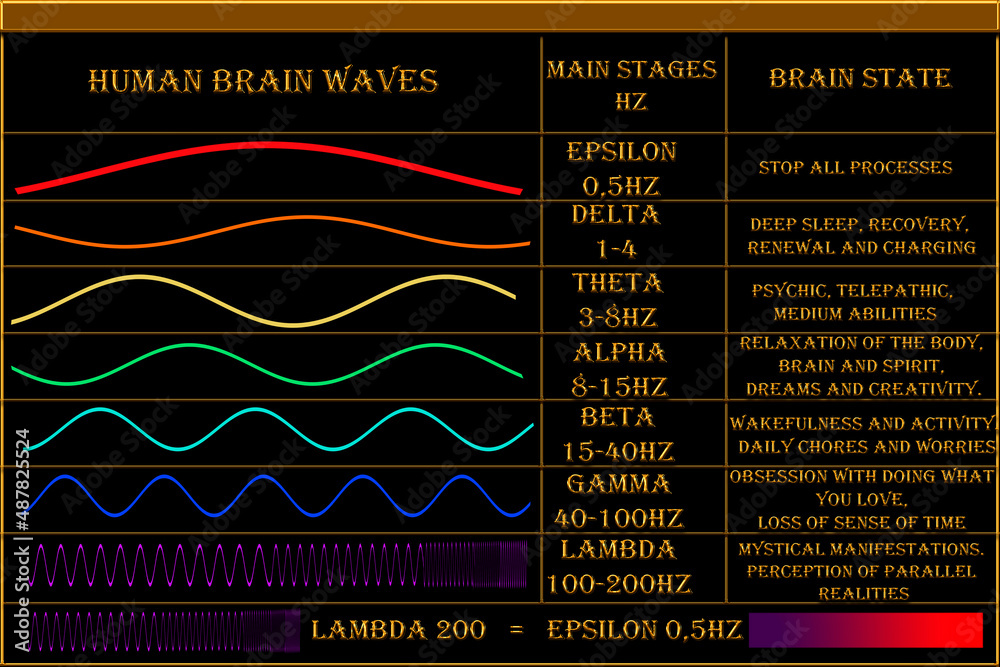 Human brain waves. Basic levels of brain wave frequencies. Processes