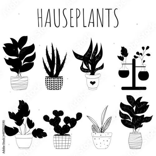 set of silhouettes of houseplants, silhouette of houseplants, Set of plants in pots. Set of houseplants. Houseplant in a pot. Houseplant, home garden, gardening, plant lover, houseplant store concept