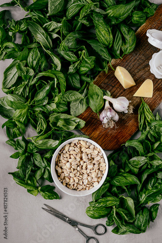 Photo of a fresh healthy ingridients like green basil  fresh garlic  roast nut  parmegiano cheese to make homemade pesto sauce on a wooden desk indoors daylight