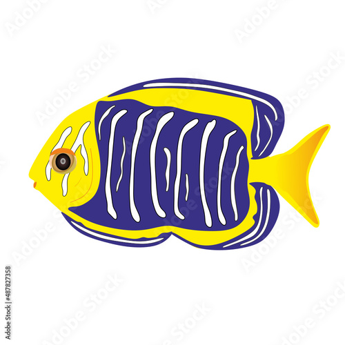 Tropical fish 