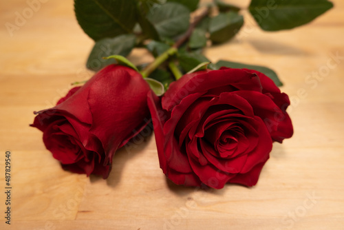 Two red roses on wood background. Close up.