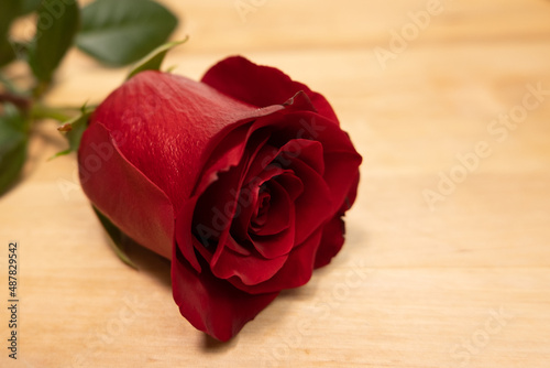 Red rose on a wooden background. Close up. Shallow depth of field.