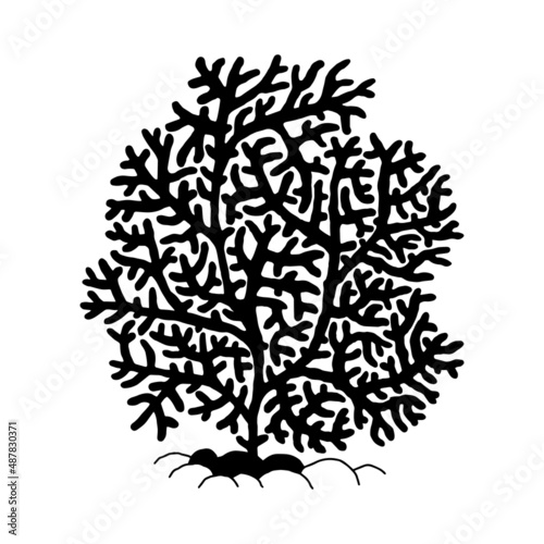 Coral. Vector silhouette coralline reef ocean animal underwater life doodle isolated illustration.