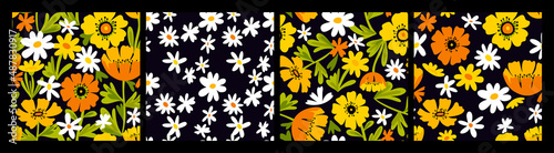 Cute daisy background. Floral seamless patterns. Set of ditsy summer nature prints. Blooming wild flowers collection. Modern flat drawing, cartoon style. Spring chamomiles texture.