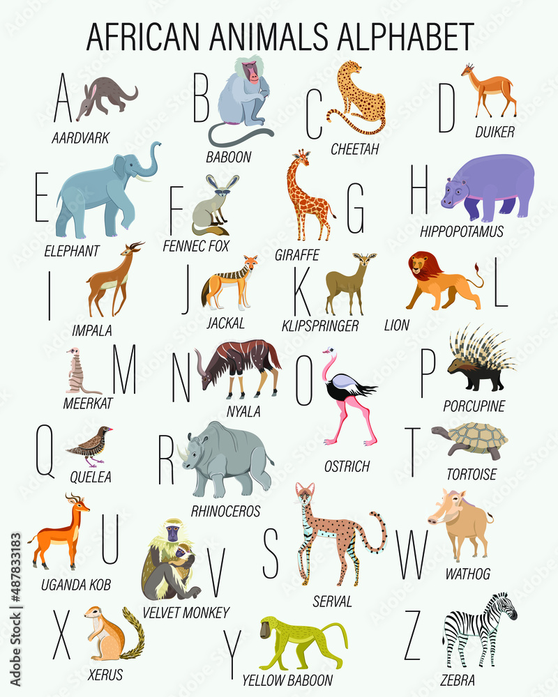All African animals by alphabet. Zebra, yellow baboon, xerus, warthog,  velvet monkey, tortoise, porcupine, ostrich, nyala, meerkat, klipspringer,  jackal, baboon, aardvark, duiker, impala, serval Stock Vector | Adobe Stock