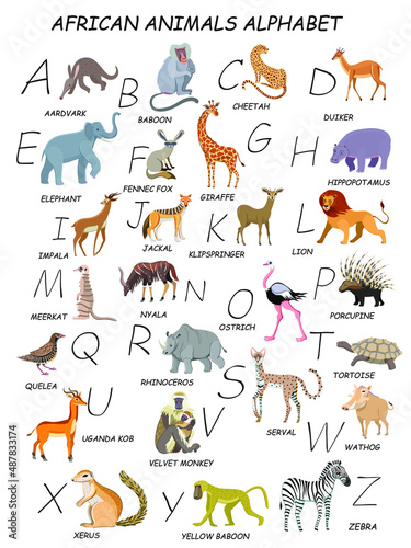 All African animals by alphabet. Zebra, yellow baboon, xerus, warthog, velvet monkey, tortoise, porcupine, ostrich, nyala, meerkat, klipspringer, jackal, baboon, aardvark, duiker, impala, serval  photo