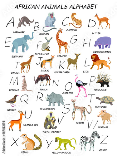All African animals by alphabet. Zebra, yellow baboon, xerus, warthog, velvet monkey, tortoise, porcupine, ostrich, nyala, meerkat, klipspringer, jackal, baboon, aardvark, duiker, impala, serval 