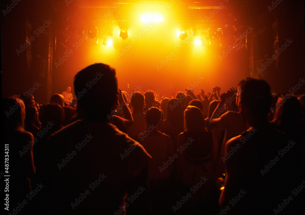 A crowd of people watching a band play on stage at a music concert. This concert was created for the sole purpose of this photo shoot, featuring 300 models and 3 live bands. All people in this shoot