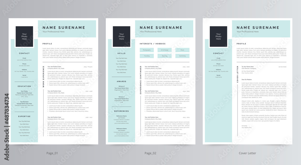 Professional Resume/CV and Cover Letter Template Professional Resume/CV and Cover Letter Template