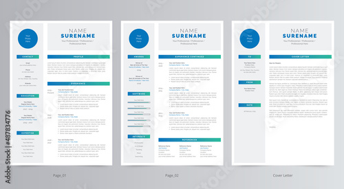Professional Resume/CV and Cover Letter Template