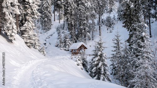 A hiking track in the Carpathians in winter, Romania