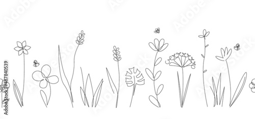 Vector nature seamless border with wild herbs and flowers on white. Continuous line drawing background. Doodle hand drawn style floral illustration