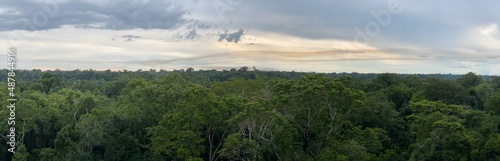 panorama rainforest madre de dios