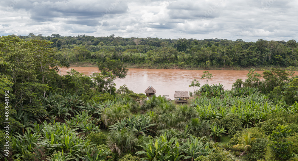 Panorama of amazon rainforest in tambopata showing farm and river