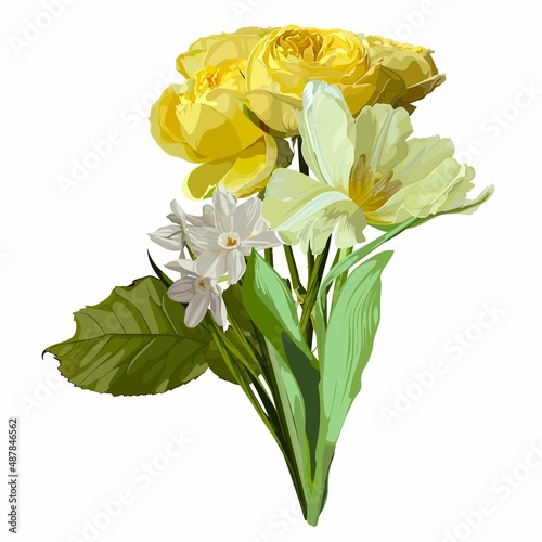 Hand drawn illustration of a beautiful tulip, roses, narcissus flowers spring bouquet. Element for wedding invitation, Valentine or others.