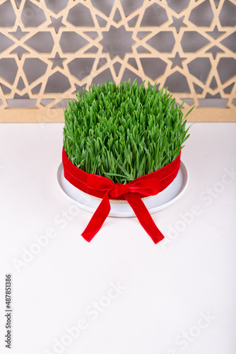 Green fresh semeni sabzi wheat grass in white plate decorated with red ribbon with wooden shebeke pattern, Novruz spring equinox celebration in Azerbaijan